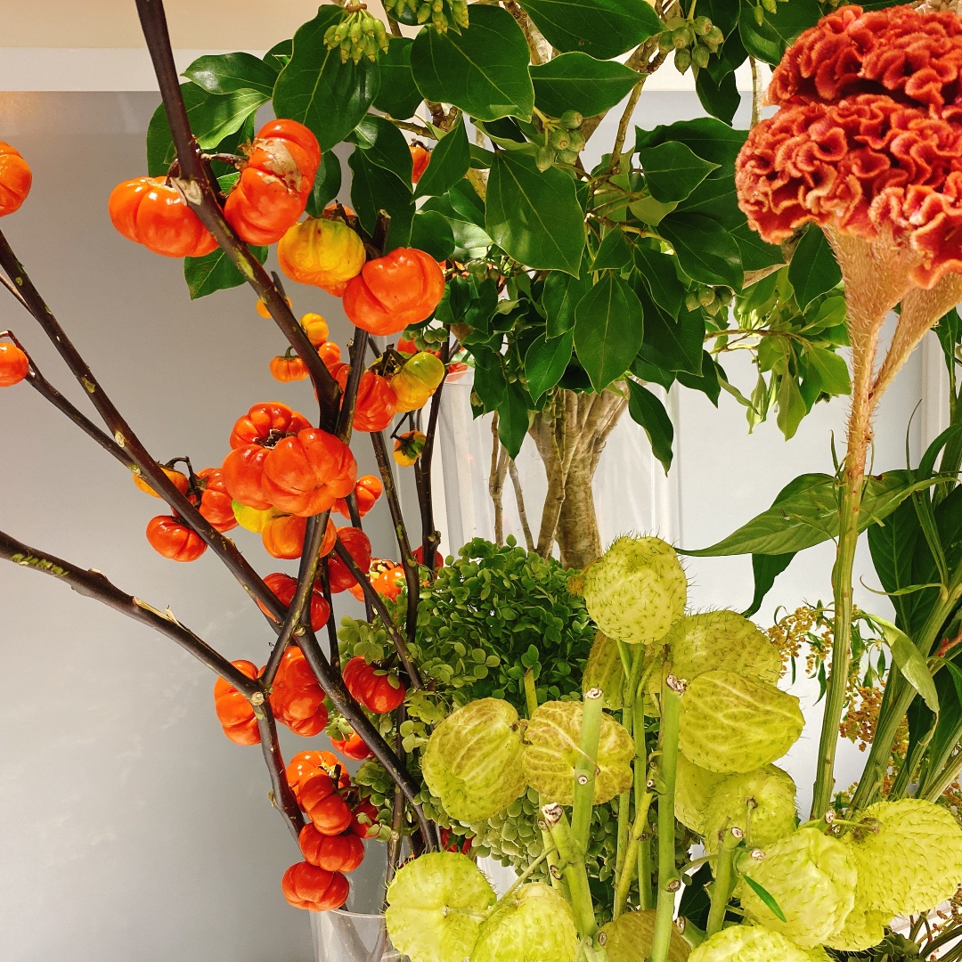 専用＊感謝Sale＊Halloweenソラナムパンプキン ドライフラワーリース