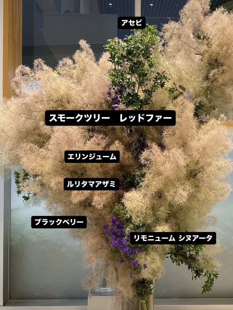 スモークツリーとエリンジウム、ルリタマアザミ、紫陽花の